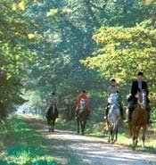 équitation en forêt de Fontainebleau