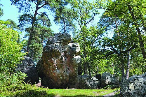 Fontainebleau - Forêt - Patrimoine mondial de l'Unesco candidature
