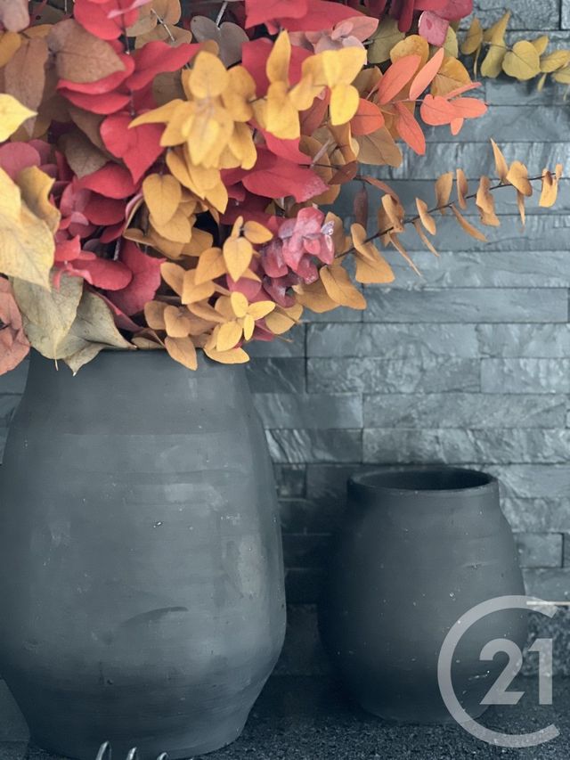 Appartement à vendre - 2 pièces - 42.97 m2 - BOIS LE ROI - 77 - ILE-DE-FRANCE - Century 21 Agence Babut