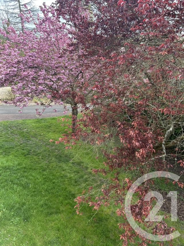 Appartement à vendre - 4 pièces - 82.07 m2 - AVON - 77 - ILE-DE-FRANCE - Century 21 Agence Babut