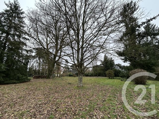 maison à vendre - 5 pièces - 115.0 m2 - SAMOIS SUR SEINE - 77 - ILE-DE-FRANCE - Century 21 Agence Babut