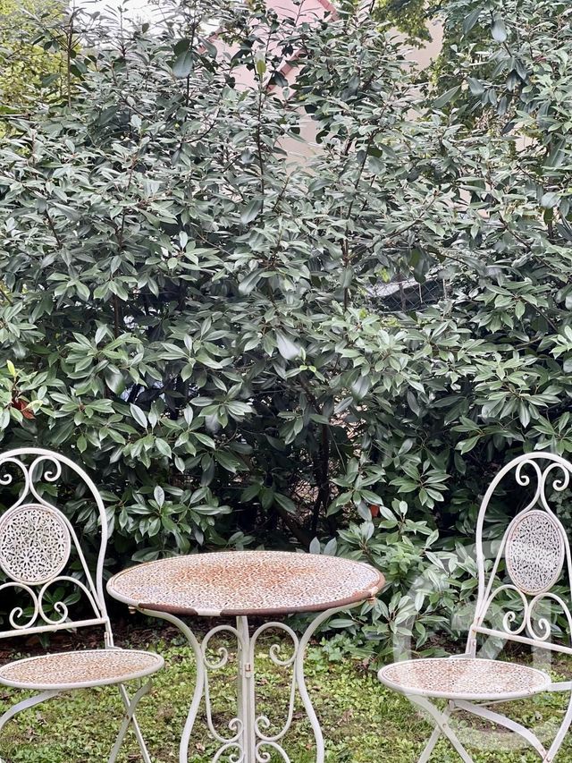 maison à vendre - 6 pièces - 138.55 m2 - ARBONNE LA FORET - 77 - ILE-DE-FRANCE - Century 21 Agence Babut