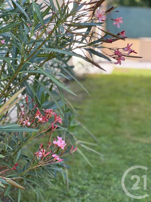 maison à vendre - 8 pièces - 151.86 m2 - SAMOREAU - 77 - ILE-DE-FRANCE - Century 21 Agence Babut